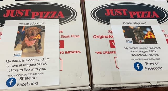 A pizzeria has gone viral after putting pictures of shelter dogs on its pizza boxes. (Photo: Kimberly LaRussa)