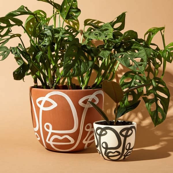 Give your favorite plant baby a pretty update, thanks to this planter with a minimalist-inspired design and a drainage hole to prevent root rot. <br /><br /><strong>Promising review: "</strong>Everyone always asks about my <a href="https://www.francanyc.com/" target="_blank" rel="noopener noreferrer">FrancaNYC</a> products. <strong>They're just that gorgeous. I own five of their pots and two mugs. Each product is wonderfully handmade and ships pretty fast.</strong> Franca isn't cheap but the quality is there. Plus, it feels good to support a local, woman-owned design studio." &mdash; <a href="https://www.buzzfeed.com/christineforbes" target="_blank" rel="noopener noreferrer">Christine Forbes</a><br /><br /><strong>Get it from <a href="https://go.skimresources.com?id=38395X987171&amp;xs=1&amp;xcust=HPThingsMakePeopleThinkExpertPlantParent--60bf9219e4b04694aec40c23&amp;url=https%3A%2F%2Fwww.westelm.com%2Fproducts%2Flcl-franca-nyc-cara-planter-d11345%2F" target="_blank" rel="nofollow noopener noreferrer" data-skimlinks-tracking="5929401|xid:fr1623169240967aed" data-vars-affiliate="www.westelm.com" data-vars-asin="none" data-vars-href="https://www.westelm.com/products/lcl-franca-nyc-cara-planter-d11345/" data-vars-link-id="16640699" data-vars-price="" data-vars-product-id="1" data-vars-product-img="none" data-vars-product-title="Placeholder- no product" data-vars-retailers="" data-ml-dynamic="true" data-ml-dynamic-type="sl" data-orig-url="https://www.westelm.com/products/lcl-franca-nyc-cara-planter-d11345/" data-ml-id="46">West Elm</a> or <a href="https://www.francanyc.com/shop/finca-planters-ymejs-m4ytp" target="_blank" rel="nofollow noopener noreferrer" data-skimlinks-tracking="5929401|xid:fr1623169240967bhi" data-vars-affiliate="www.westelm.com" data-vars-href="https://www.francanyc.com/shop/finca-planters-ymejs-m4ytp" data-vars-link-id="16640146" data-vars-price="" data-vars-product-id="21011595" data-vars-product-img="" data-vars-product-title="Powered by" data-vars-retailers="" data-ml-dynamic="true" data-ml-dynamic-type="sl" data-orig-url="https://www.francanyc.com/shop/finca-planters-ymejs-m4ytp" data-ml-id="47">FrancaNYC</a> for $48+ (available in three sizes).</strong>