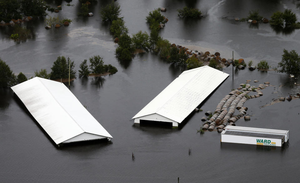 Farm buildings are inundated with floodwater from Hurricane Florence near Trenton, N.C., Sunday, Sept. 16, 2018. (AP Photo/Steve Helber)