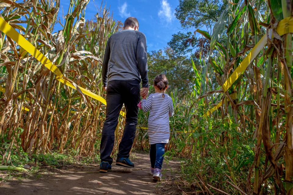 At Clark Farms in South Kingstown, the corn maze is open during the day all week, and on Saturday nights visitors can take a flashlight trip with make-your-own s'mores stops along the way.