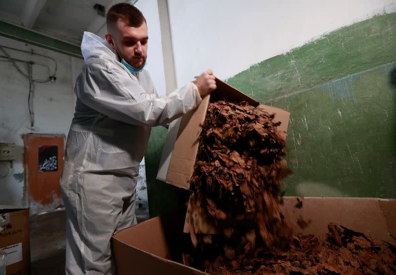 CEO of the "Re-leaf Paper" project Frechka unloads dry fallen tree leaves at the Zhytomyr Cardboard Factory in Zhytomyr