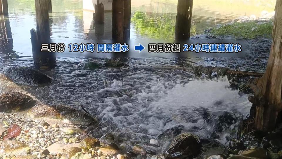 乾旱！台東琵琶湖水位下降　農業處抽地下水救生態