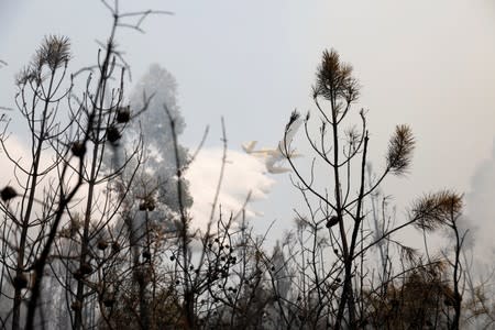 Firefighting plane dumps water on a forest fire next to the village of Vila de Rei