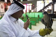 Qatari Abdulaziz Alansi, 16, takes a photo of a a falcon for sale in a shop in Doha, Qatar, Saturday, Nov. 19, 2022. Qatar has become synonymous with soccer since winning the rights to host the FIFA World Cup that opens on Sunday. But another sport is flying high in the historic center of Doha as over a million foreign fans flock to the tiny emirate: Falconry. (AP Photo/Jon Gambrell)