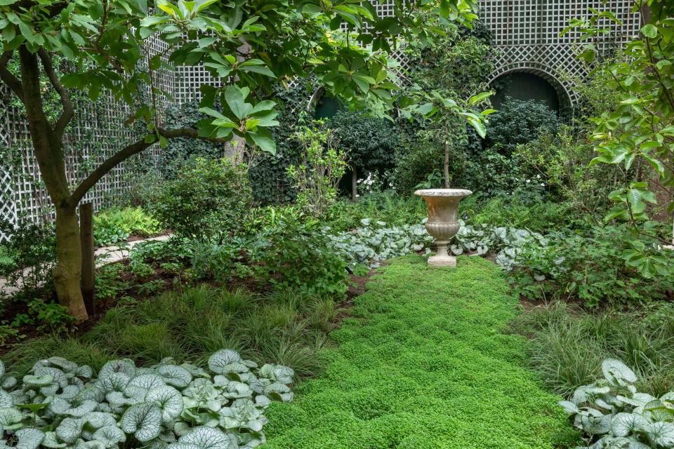 The woodland features a tapestry of ground cover, including silver Brunnera “Jack Frost,” and an emerald “lawn” of soleirolia, leading the eye to an antique stone urn.