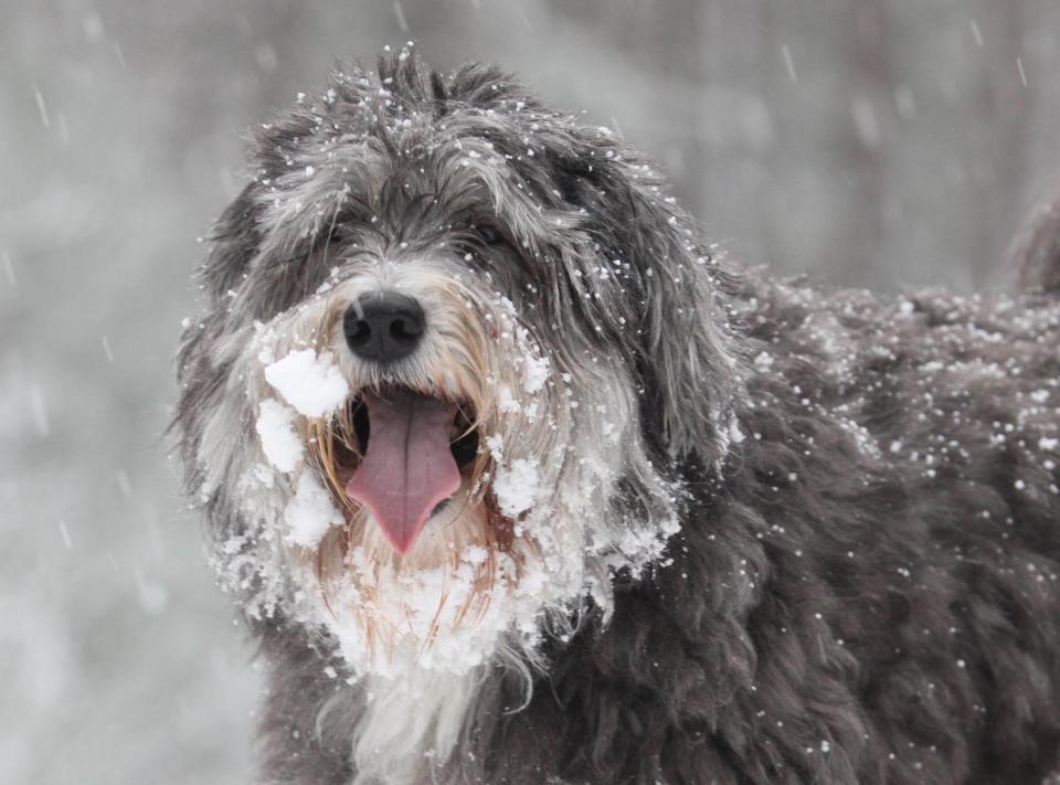 In pictures: Snow blankets Britain