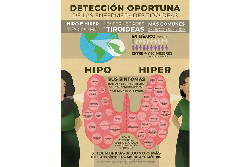 <span>Las hormonas que produce la tiroides influyen en la digestión, la reposición de células muertas, las contracciones musculares, el ritmo cardiaco y la temperatura corporal. (Ilustración: Ivette Espinosa)</span>