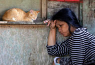 <p>A woman displaced by fighting between government soldiers and Maute group rests near a cat at a makeshift evacuation centre in Marawi City, southern Philippines May 30, 2017. (Erik De Castro/Reuters) </p>