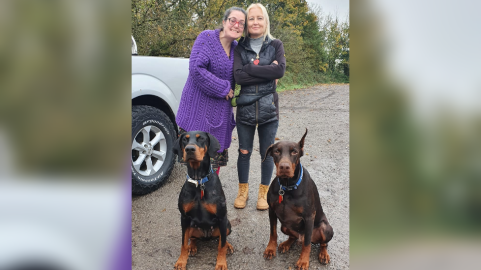 Katie y Lucy con los perros