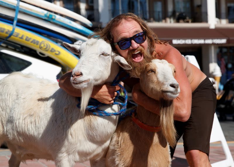 Dana McGregor arrives at the beach with his surfing goat Pismo and Grover in San Clemente
