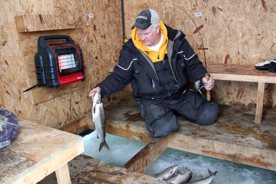 Bret Alexander, a fishing guide from Green Bay, Wis., lands a whitefish while ice fishing in an ice house on Green Bay near Sturgeon Bay, Wis.
