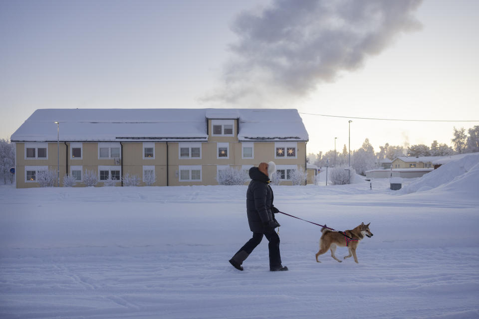 A person walks a dog in the village of Vittangi in Kiruna municipality, north Sweden, Wednesday, Jan. 3, 2024 (Emma-Sofia Olsson/TT News Agency via AP)