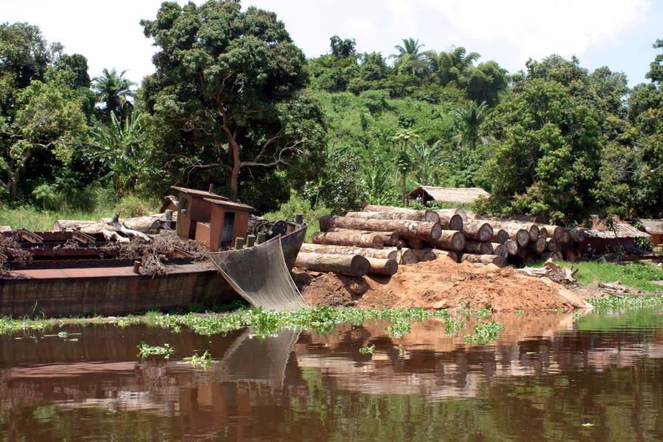 Logs lie next to the banks of the&nbsp;Congo River in the Democratic Republic of Congo. Despite a ban on new logging, the country's rate of deforestation has shot up. (Photo: David Lewis/Reuters)