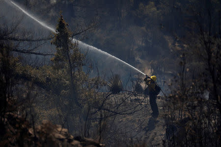 A firefighter sprays water to put out hot spots during the Wilson Fire near Mount Wilson in the Angeles National Forest in Los Angeles, California, U.S. October 17, 2017. REUTERS/Mario Anzuoni