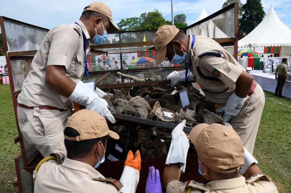 <div class="paragraphs"><p>Police arrange rhino horns on the furnace</p></div>