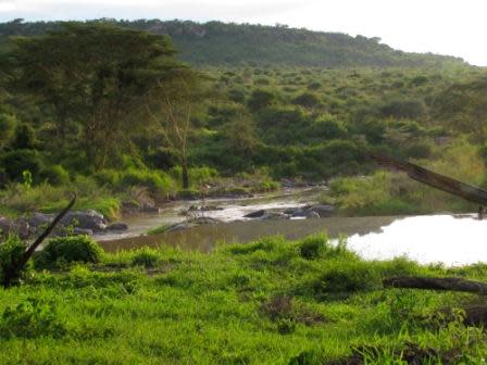 Laikipia Plateau: I have arrived