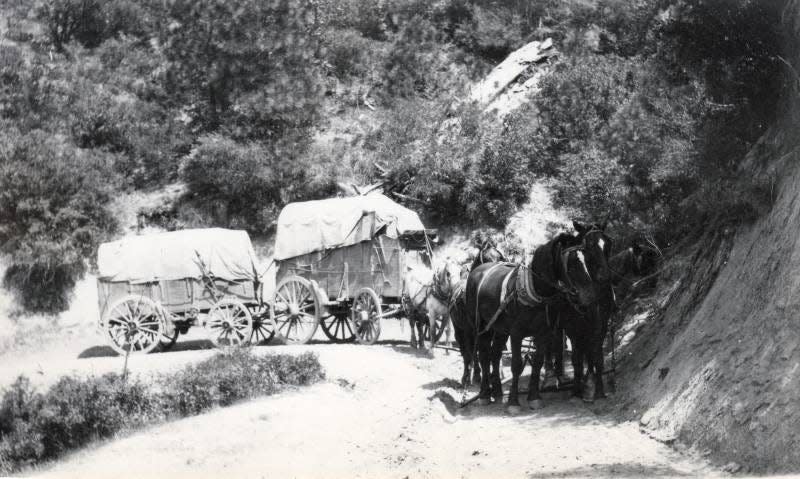 This photo from the 1890s era depicts a stagecoach on Middle Creek Road just west of Redding, near the area where the brothers John and Charles Ruggles pulled off their infamous robbery on May 14, 1892. Two months later, on July 24, 1892, a mob forced their way into the jail, where they were being held, and hanged the two men.