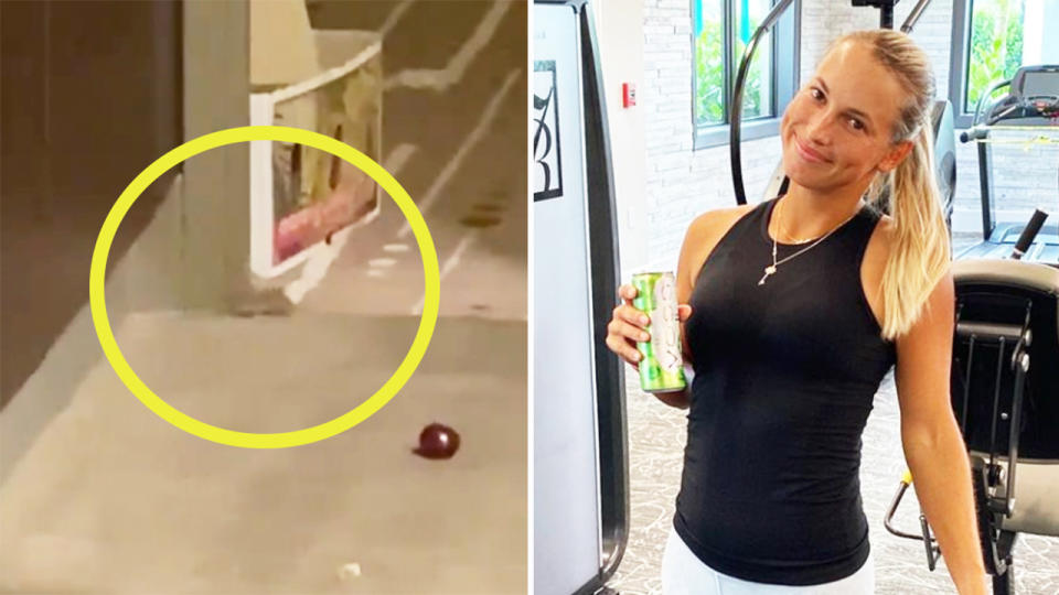 Kazakh star Yulia Putintseva (pictured right) during gym work and a mouse (pictured left) running around in her hotel quarantine room.