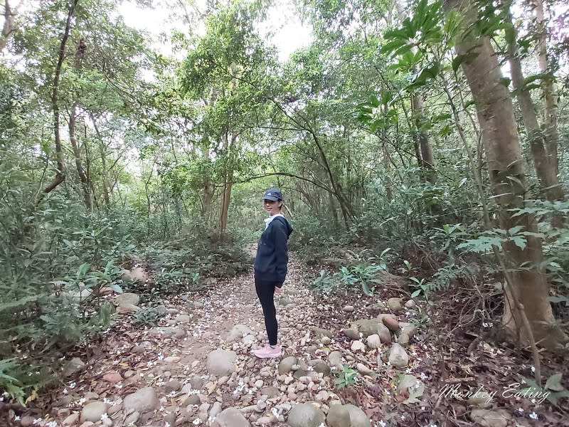 苗栗三義｜火炎山登山步道