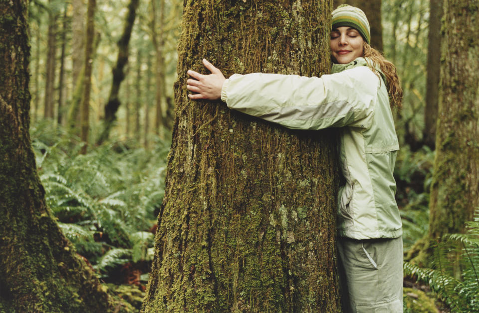 woman hugging tree