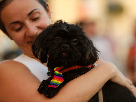 A dog wears a rainbow-coloured tie as people celebrate after the Maltese parliament voted to legalise same-sex marriage on the Roman Catholic Mediterranean island, in Valletta, Malta July 12, 2017. REUTERS/Darrin Zammit Lupi