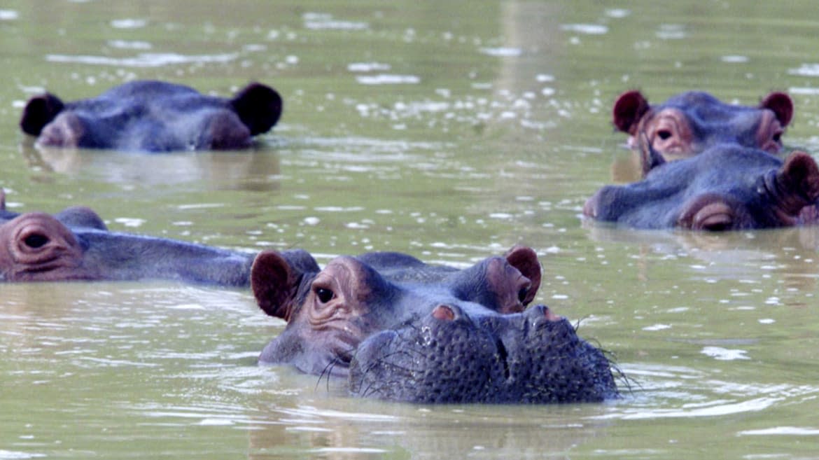 Albeiro Lopera/Reuters