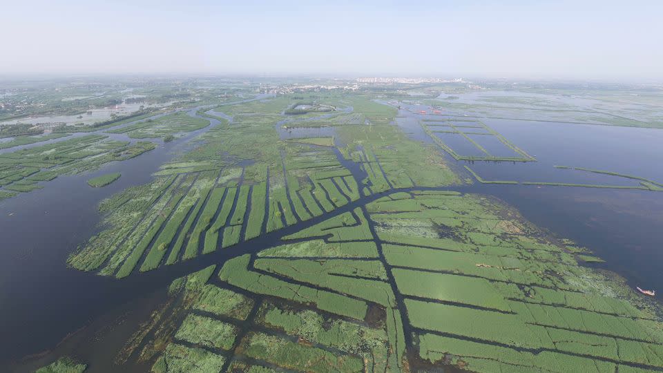 Located inside Xiong'an, the Baiyangdian Lake is the largest freshwater wetland in northern China. - Zhu Xudong/Xinhua/Getty Images/File