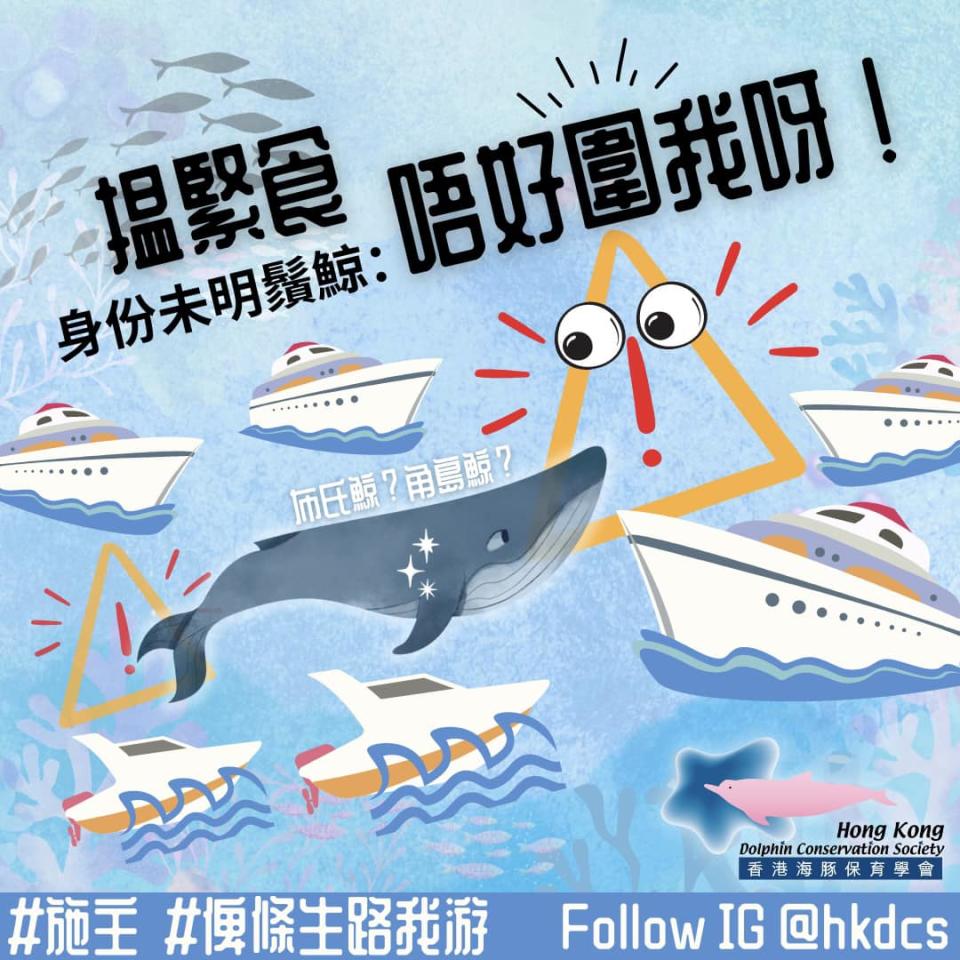 香港鯨豚保育學會呼籲公眾切勿近距離圍觀鯨魚。   （香港鯨豚保育學會facebook貼圖）