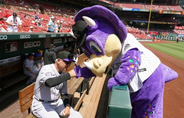 Colorado Rockies Mascot Dinger Tackled By Fan On Top Of Dugout