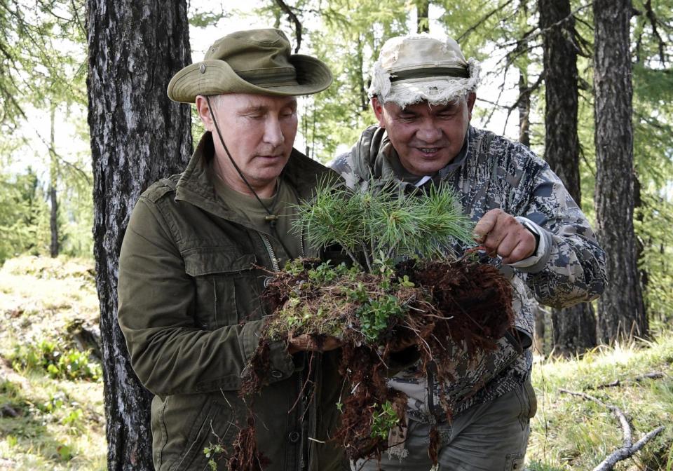 PHOTO: In this pool photograph distributed by Russian state owned Sputnik agency on August 26, 2018, Russian President Vladimir Putin and Russian Defense Minister Sergei Shoigu looking at vegetation in southern Siberia.  (Alexey Nikolsky/POOL/AFP via Getty Images)