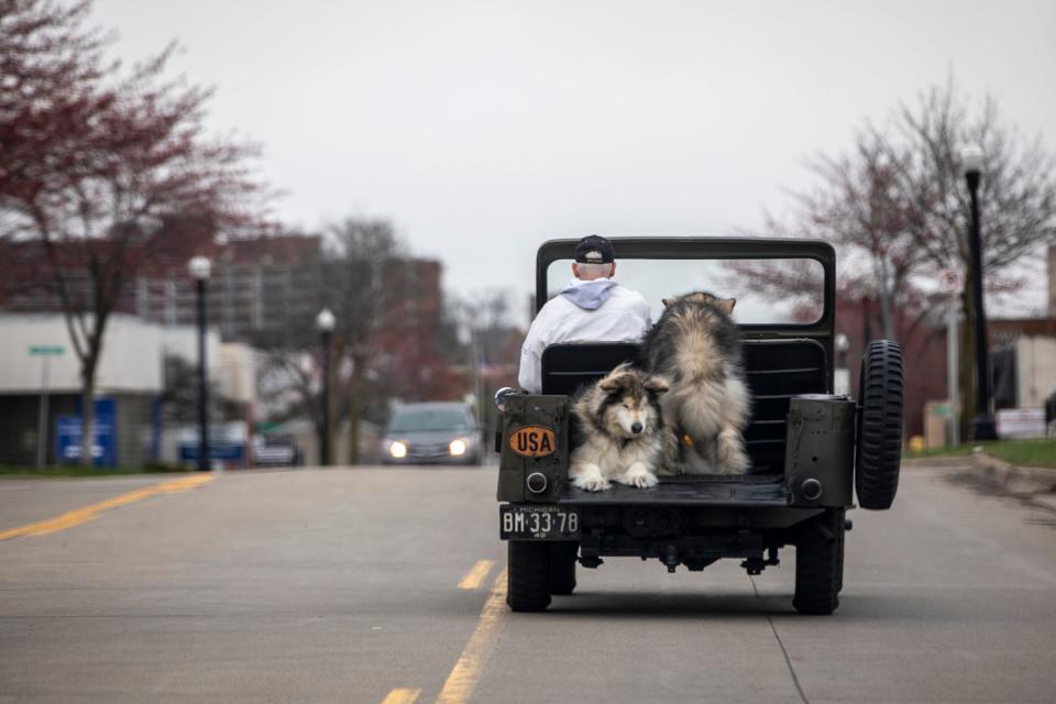 Richard Margittay, 76, drives with his dogs Yukon and Cheyenne in his 1949 Willys Civilian Jeep around Dearborn on April 15, 2022.