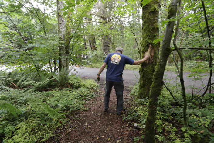 In this Friday, Aug. 2, 2019, photo Wayne Elson reaches out to a dead tree that he says he needs to cut down, as it could fall and block the road in a fire, as he walks a path from his home to the adjacent road, in Issaquah, Wash. Elson is the firewise coordinator in the development, his home one of hundreds of houses in his community built into the woods there. (AP Photo/Elaine Thompson)