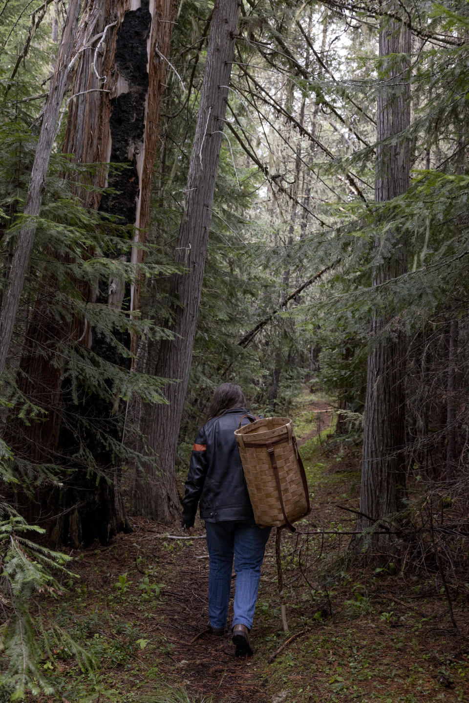 River Shannon Aloia, an avid forager, totes her basket during her hunt for morels on national forest land near Missoula, Mont., May 17, 2024. Collecting wild mushrooms, berries and other foods from public forests and parks has become so popular that state and federal agencies have begun weighing more restrictions. (Tailyr Irvine/The New York Times)