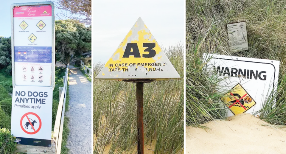 Beach safety signs on the Bass Coast. One cautions beachgoers over dogs, while warnings about rough surf are a fraction of the size. Source: Sentinel-Times. 