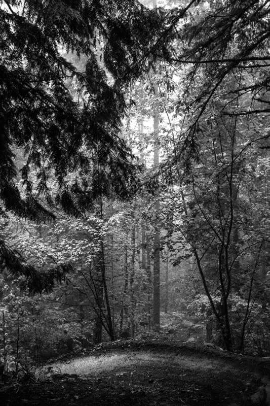 <p>Photo: Ryan Creary</p><p>Revelstoke, British Columbia.</p>