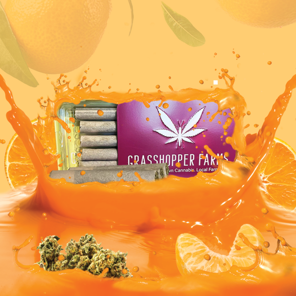 Grasshopper Farms, an outdoor cannabis farm in southwest Michigan, started selling an infused pre-rolled joint with the flavor of chocolate-covered strawberries in February 2024. It will expand its offerings with flavors like tangie and red white and berry blast.