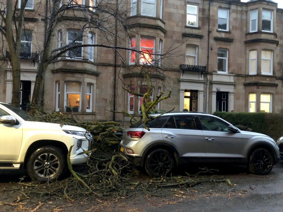 Fallen branches from trees in the Shawlands area of Glasgow, cover parked cars and the pavement following gusts from Storm Isha (PA)