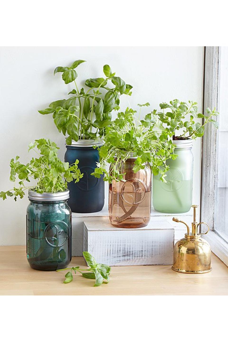 44) Mason Jar Indoor Herb Garden