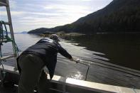 Murray Minchin, of the grassroots environmental group Douglas Channel Watch, leans over the edge of a boat to help retrieve a crab trap on the Douglas Channel, in northern British Columbia near to where Enbridge Inc plans to build its Northern Gateway pipeline terminal facility April 13, 2014. REUTERS/Julie Gordon