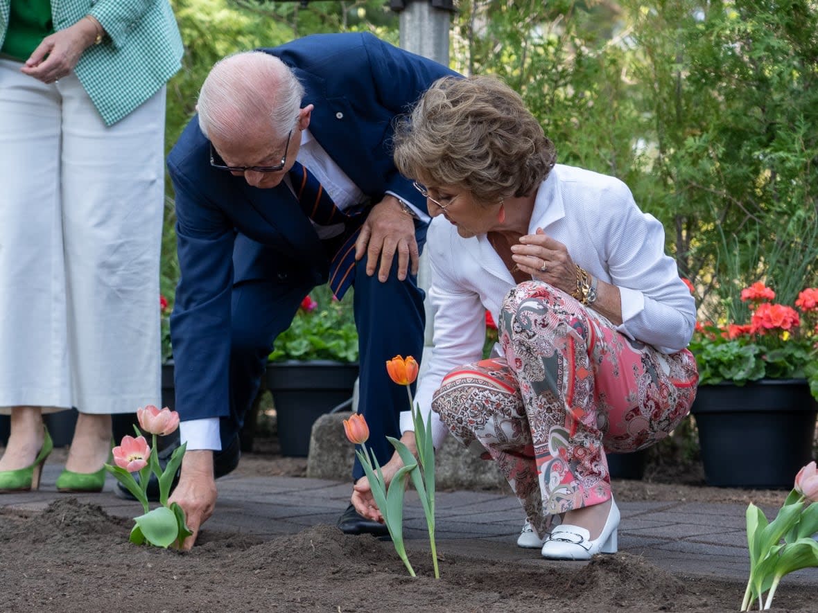 Princess Margriet of the Netherlands plants tulips at Stornoway, the official residence of the leader of the Opposition, in Ottawa on Thursday, May 12, 2022. She was born at the Ottawa Civic Hospital in 1943 as her family sought refuge in Canada during the Second World War.  (Francis Ferland/CBC - image credit)