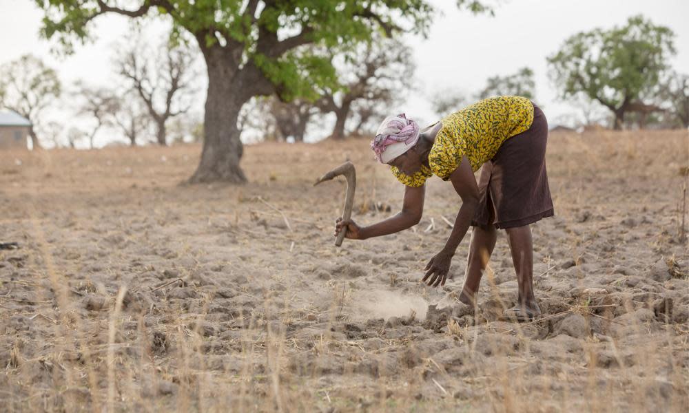 <span>Photograph: Alamy</span>