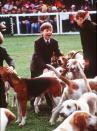 <p>Prince William clearly enjoyed playing with the hounds at the Badminton Horse Trials.</p>