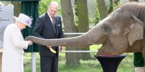 <p>Her majesty and Prince Philip feed Donna the elephant bananas at a zoo in Dunstable, United Kingdom. </p>