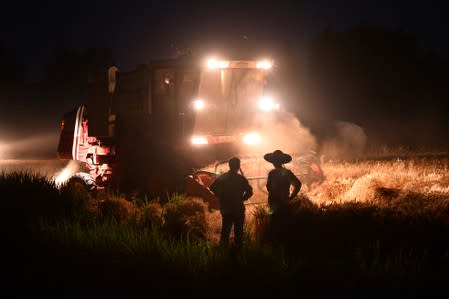 Combine harvester works on a wheat field at a village in Taierzhuang