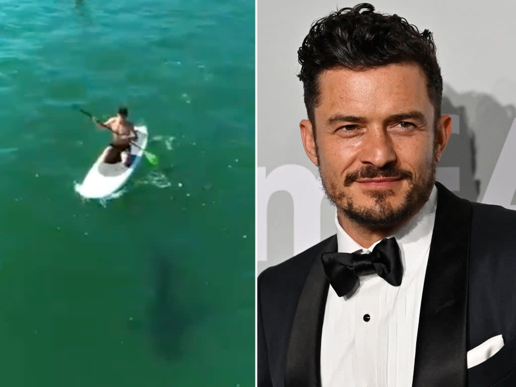 Orlando Bloom shared a video with the shark (Instagram/Orlando Bloom/Getty)