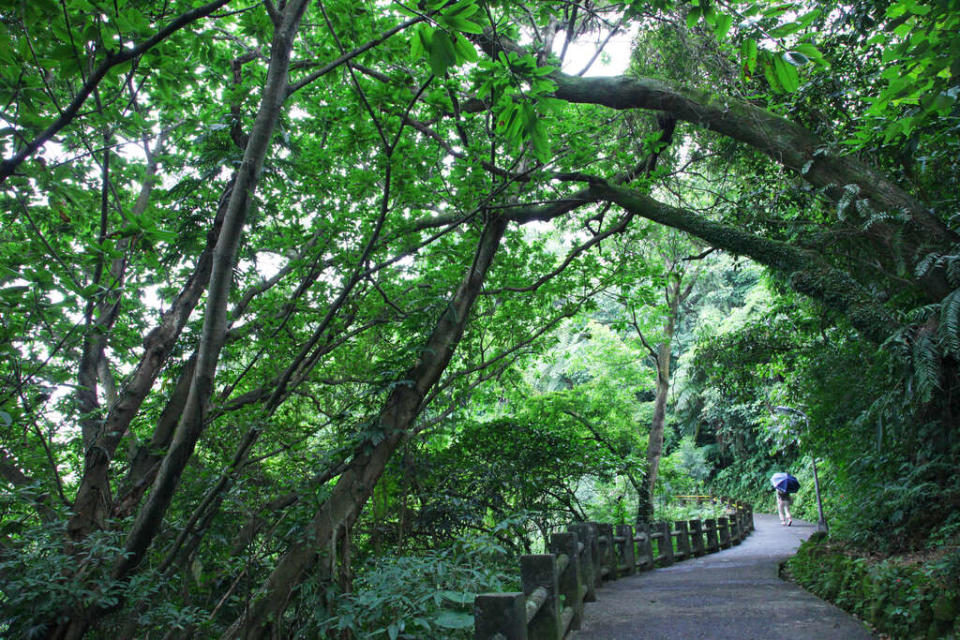 仙跡岩步道（圖片來源：台北旅遊網王能佑攝影）