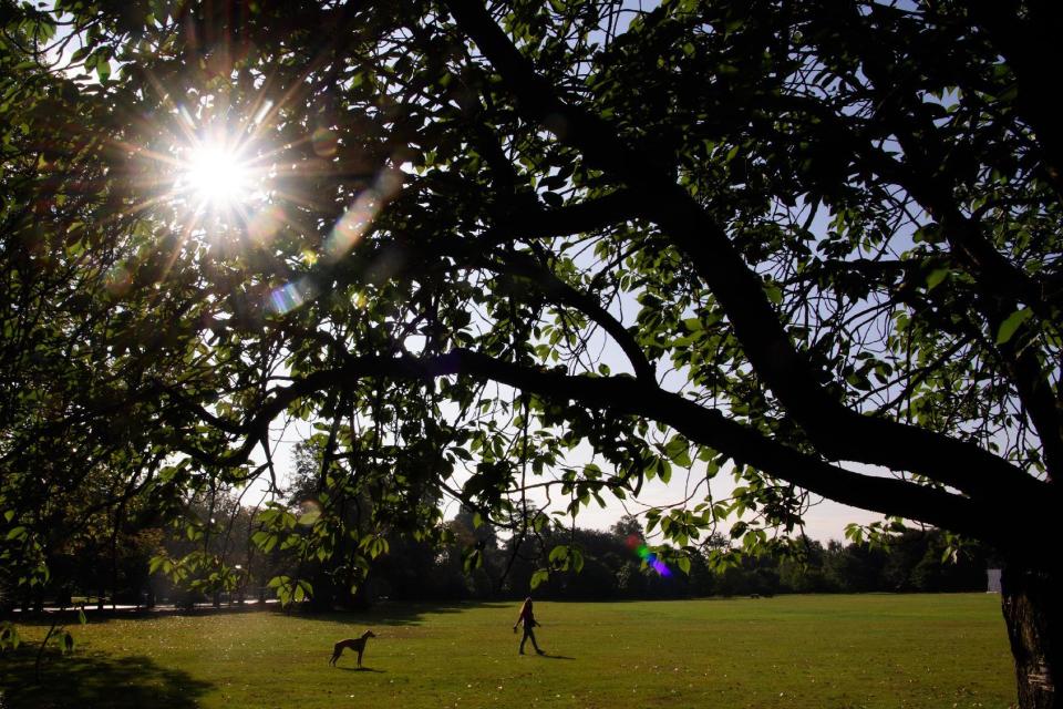 A woman walks her dog in London's Greenwich Park on Sept. 21, 2016 in London, England. Today marks final day of summer as the autumn equinox arrives on Thursday.