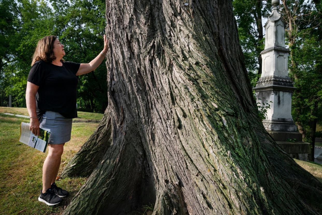 Joannie Capuano, 63, executive director of the historic Elmwood Foundation, touches an elm tree that is on the grounds of the historic Elmwood Cemetery in Detroit on Tuesday, July, 5, 2022. This particular elm dates to 250-300 years old.
