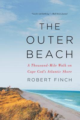 "The Outer Beach" novel cover by Robert Finch.