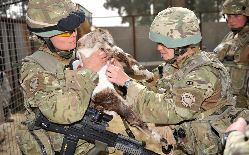 Soldiers from the Female Engagement Team work with Afghan locals at a veterinary surgery. - Rupert Frere RLC/Crown Copyright